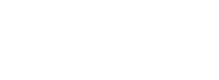 Organizational Agility Advisors