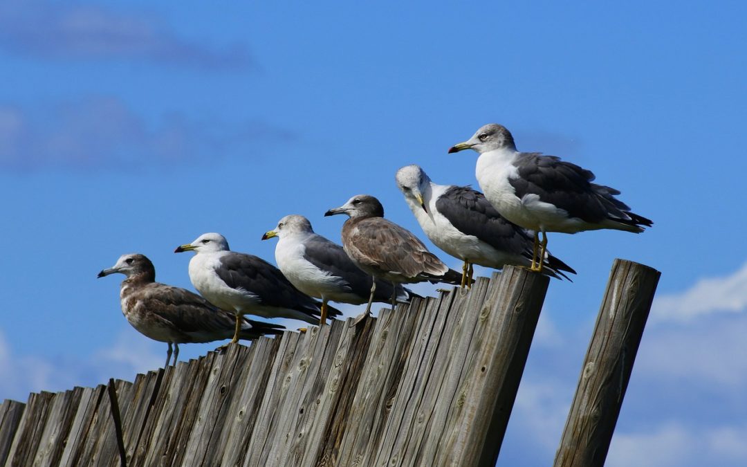 Aligning with Purpose